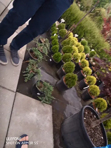 Quercus Ogrody i Wycinka Drzew